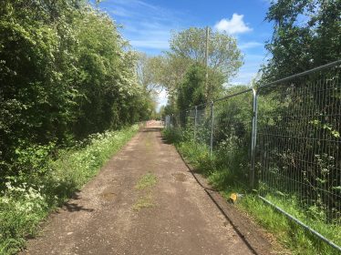 The view looking back down to Chiswick End.  Soon the leafy lane will be much shorter! | Tim Gane