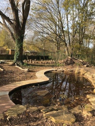 The new pond | Photograph supplied by Meldreth Primary School