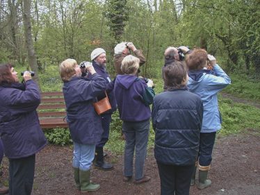 Birdwalk April 2005 | Tim Gane