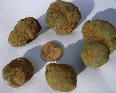 Coprolites approximately 170m years old | Cambridgeshire Collection