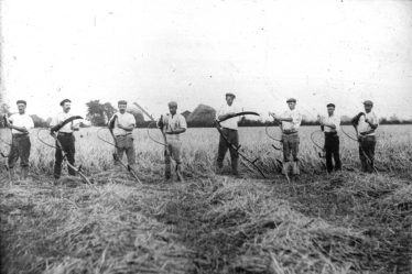 Mowers at Sheene Farm sharpening their scythes ready for work in 1903 | Cambridge Antiquarian Society Lantern Slide