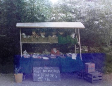 The Fieldgate stall in 1977 | Meldreth WI Scrapbook