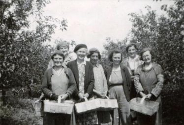 Gladys Clarke, second from right with other fruit pickers at Chiswick Farm, Chiswick End, Meldreth c. 1950 | Photo supplied by Terry Dash