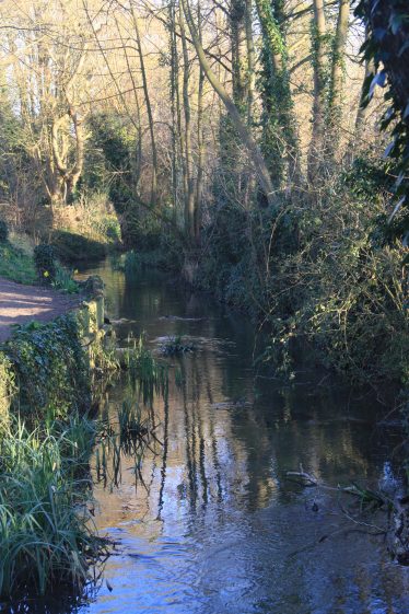 The River Mel at Meldreth | John Crawforth March 2014