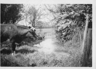 The River Mel with the Meads in the background | Ken Winter