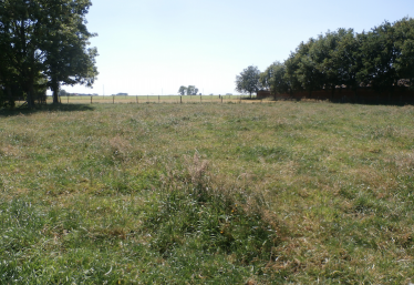 The field over which Jabez East's 39th Division is believed to have advanced during the Third Battle of Ypres | Ann Rogers