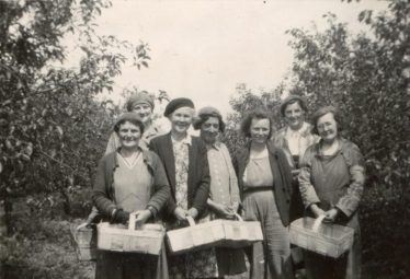 Fruit Pickers in the 1940s. Names L to R: Sylvia Gipson, Mrs Plumb, Sarah Harper, Nell Jacklin, Muriel Gipson, Gladys Clarke and Mrs Colbert. | Photo courtesy of Terry Dash