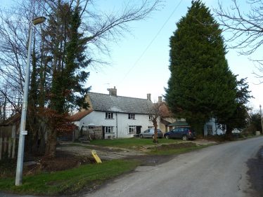 The huge conifer standing in front of Chiswick Farm Cottages in 2012 | Tim Gane