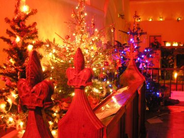 Christmas Tree Festival, 2009 | Tim Gane