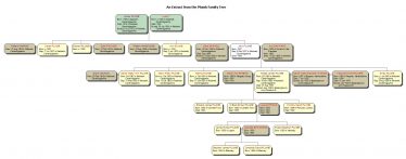 An extract from the Plumb Family Tree