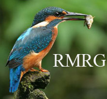The River Mel Restoration Group The River Mel Restoration Group