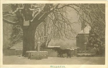 The stocks and whipping post in winter, 1924 or earlier.  The horse belonged to the Adcock family. | Photograph courtesy of Ann Handscombe