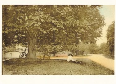 A lady sitting under the chestnut tree on Marvell's Green, c. 1920 | Postcard supplied by Ann Handscombe