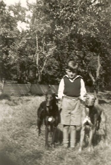 Terry, aged 7, pictured at Westacre with his two greyhounds | Photograph supplied by Terry Dash